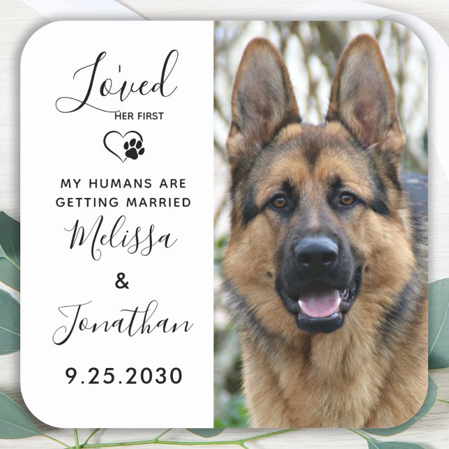 I Loved Her First Pet Dog Wedding Save The Date Square Sticker (Creator Uploaded)