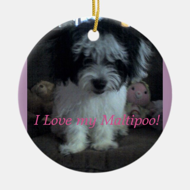 I Lovee my Maltipoo! Ornament (Front)