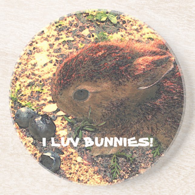 I LUV BUNNIES! Cute Coaster (Front)