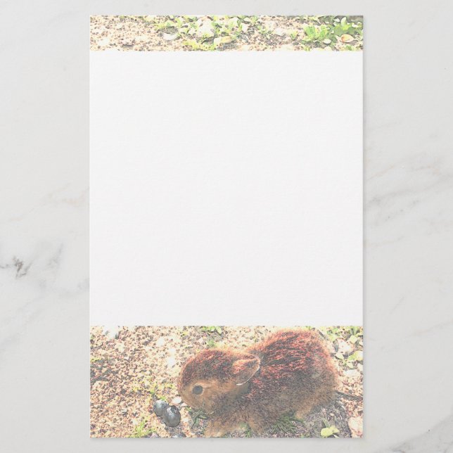 I LUV BUNNIES! Cute Stationery (Front)