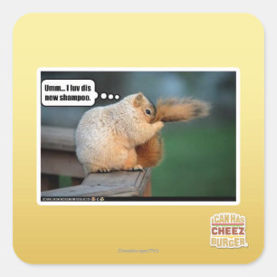 I luv dis new shampoo square sticker