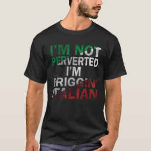 I m Not Perverted I m Just Friggin Italian Flag Fu T-Shirt