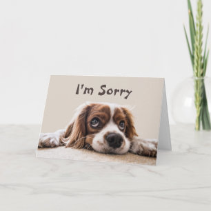 I’m Sorry Please Forgive Me Card
