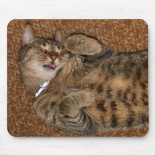I',m such a cute cat mouse pad