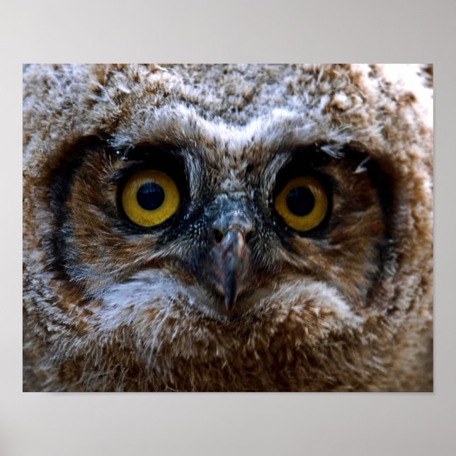 I"m Watching You Poster (Front)