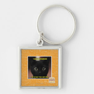 I may be schizophrenic key ring