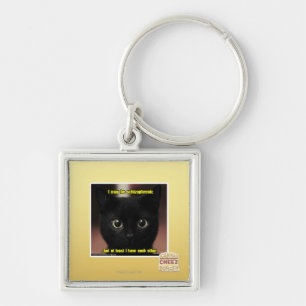I may be schizophrenic key ring