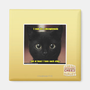 I may be schizophrenic magnet