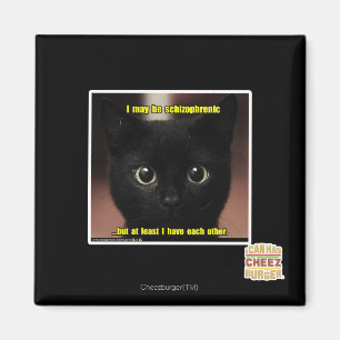 I may be schizophrenic magnet