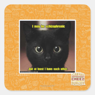 I may be schizophrenic square sticker