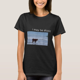 I May Be Stud Cow Meme I May Be Stud Funny T-Shirt