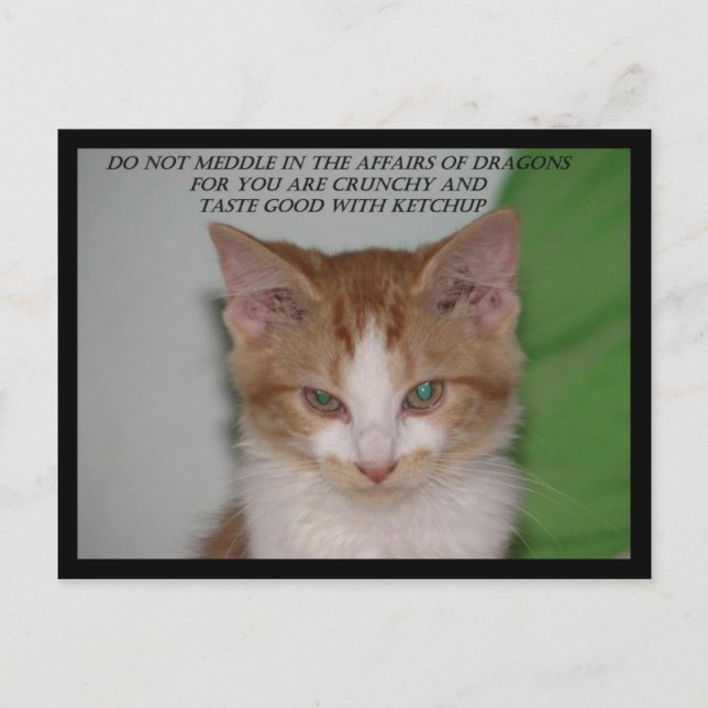 I Mean Business Postcard (Front)
