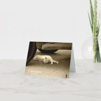 I Miss You Card - Lonely Cat