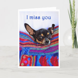 I miss you,Chihuahua dog, humour, Card