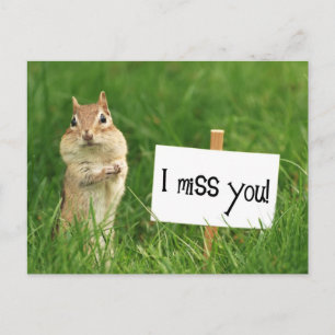 I Miss You Chipmunk with Sign Postcard