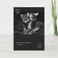 I Miss You Grey Tabby Cats
