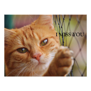 I MISS YOU PHOTO PRINT