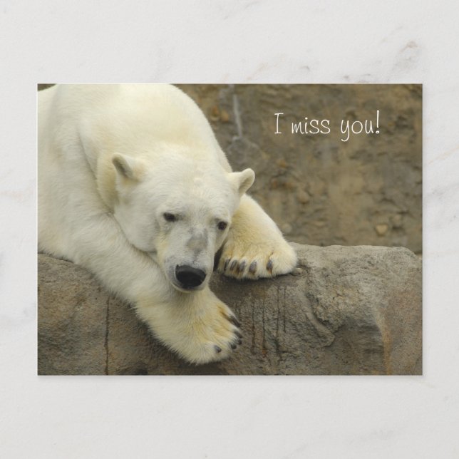I miss you - Polar Bear Postcard (Front)