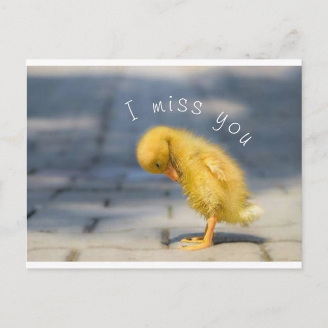 I Miss You Post Card (Front)