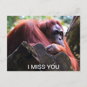 I miss you postcard