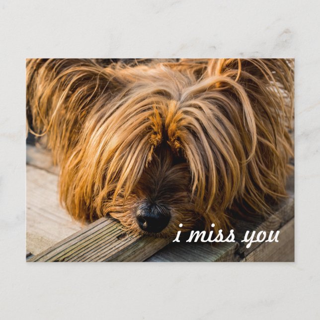 I miss you postcard (Front)