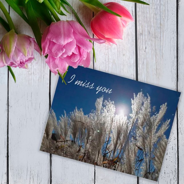 I miss you Postcard (Creator Uploaded)