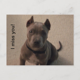 I miss you! postcard