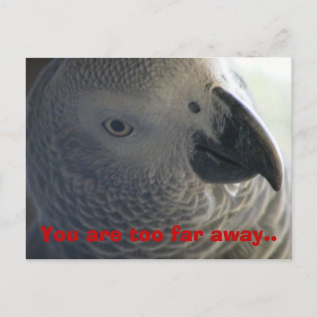 I miss you Postcard (Front)