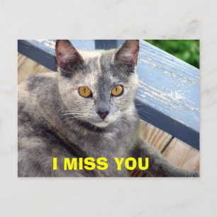 I MISS YOU POSTCARD