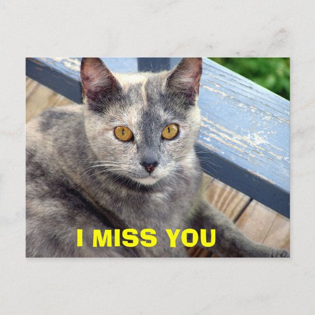 I MISS YOU POSTCARD (Front)