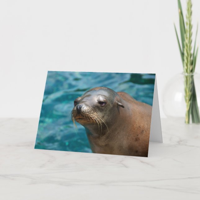 I Miss You -  Seal Greeting Card (Front)