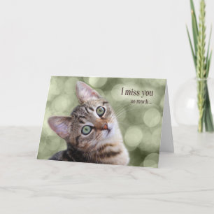 I Miss You So Much I Can't Purr Cute Tabby Kitty Card