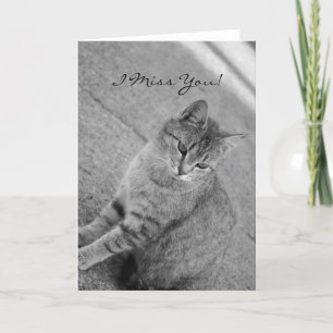 I Miss You Tabby Cat Photograph Card