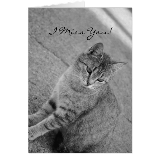 I Miss You Tabby Cat Photograph Card