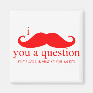 I Moustache You A Question Magnet
