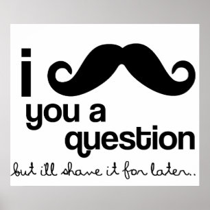 I Moustache You A Question poster