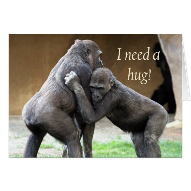 I need a hug (Front Horizontal)