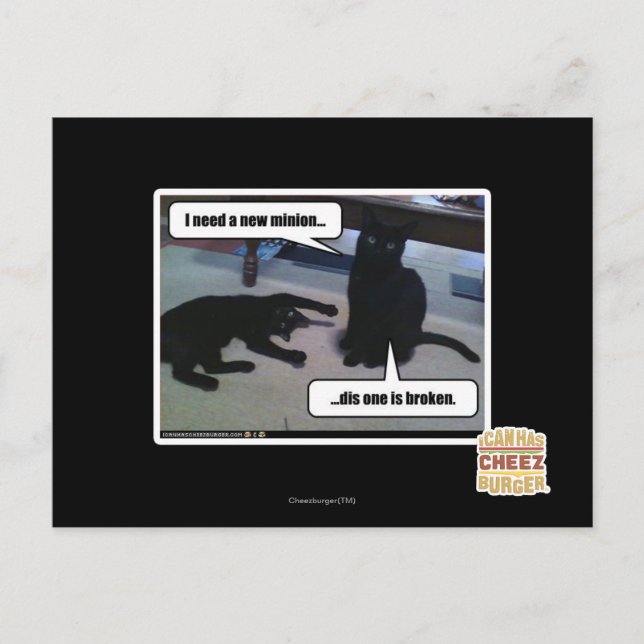 I need a new minion postcard (Front)