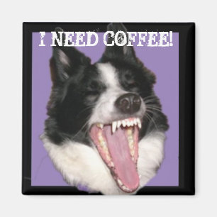 I need coffee! magnet