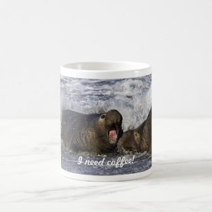 I need coffee mug. mug