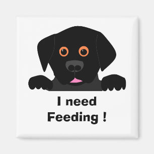 , I need Feeding ! Magnet