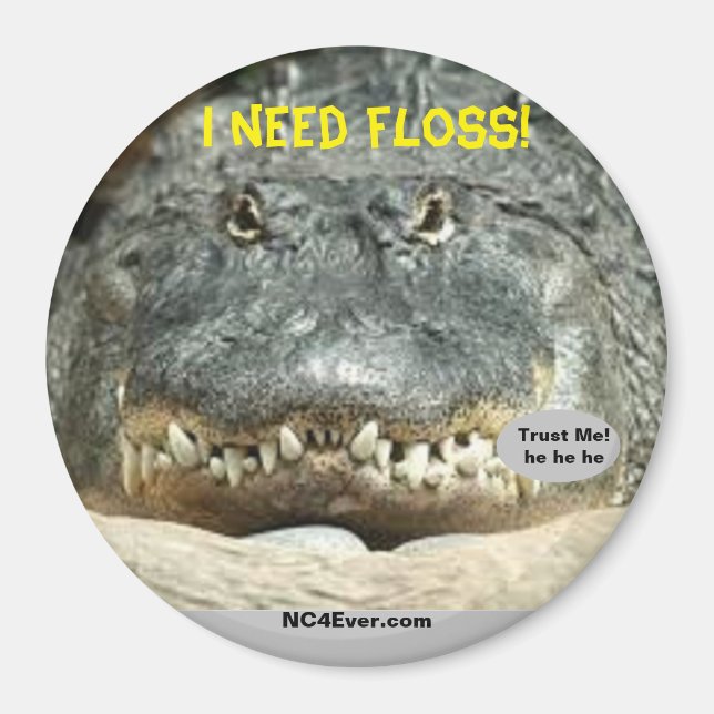 I need floss! fun magnet (Front)