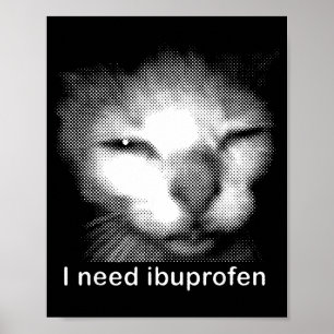 I Need Ibuprofen Cat Meme Funny Silly Cat Ironic W Poster