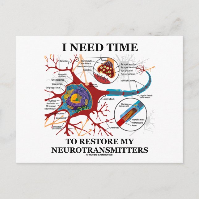 I Need Time To Restore My Neurotransmitters Postcard (Front)