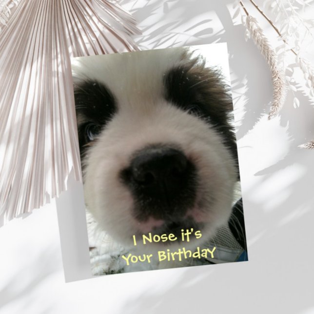 I Nose it's Your Birthday Card (Creator Uploaded)