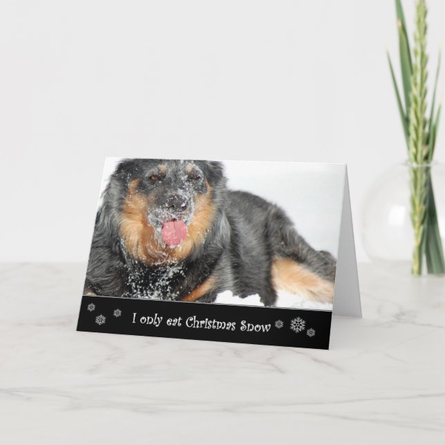 I Only Eat Christmas Snow Holiday Card (Front)