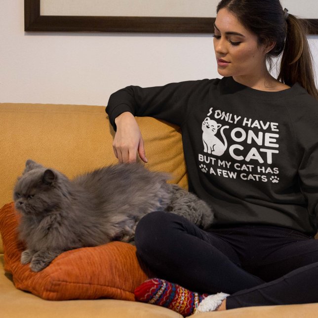 I Only Have One Cat Sweatshirt (cat sweatshirt for women)