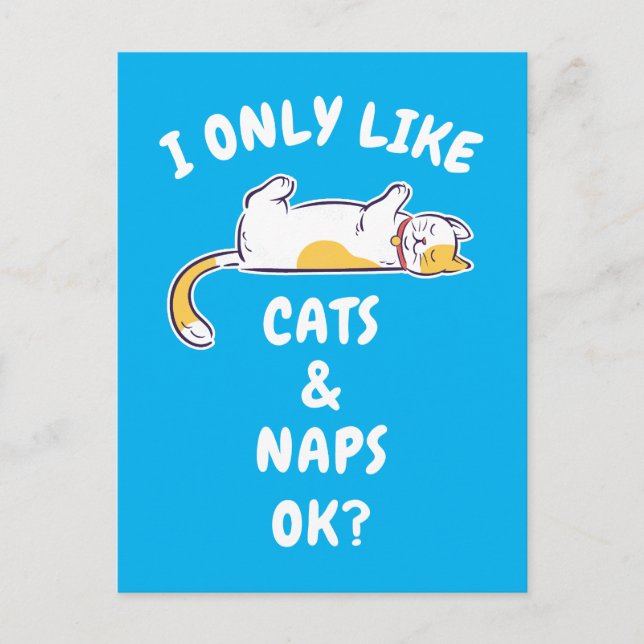 I ONLY LIKE CATS & NAPS OK? POSTCARD (Front)