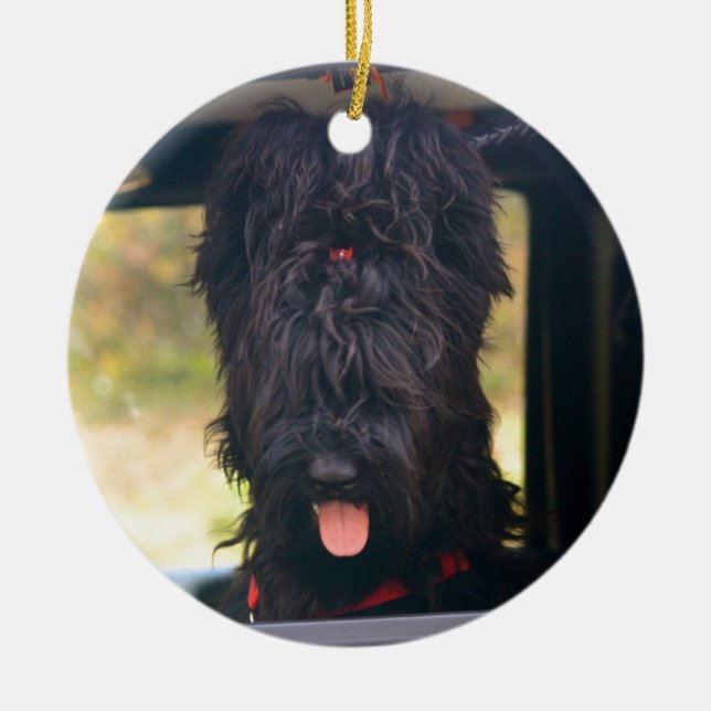 I own this jeep ceramic ornament (Front)