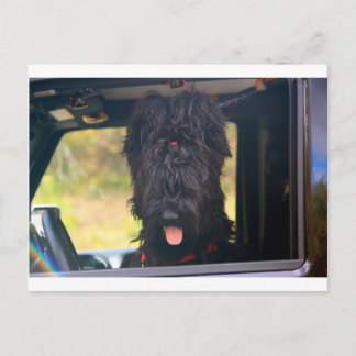 I own this jeep postcard